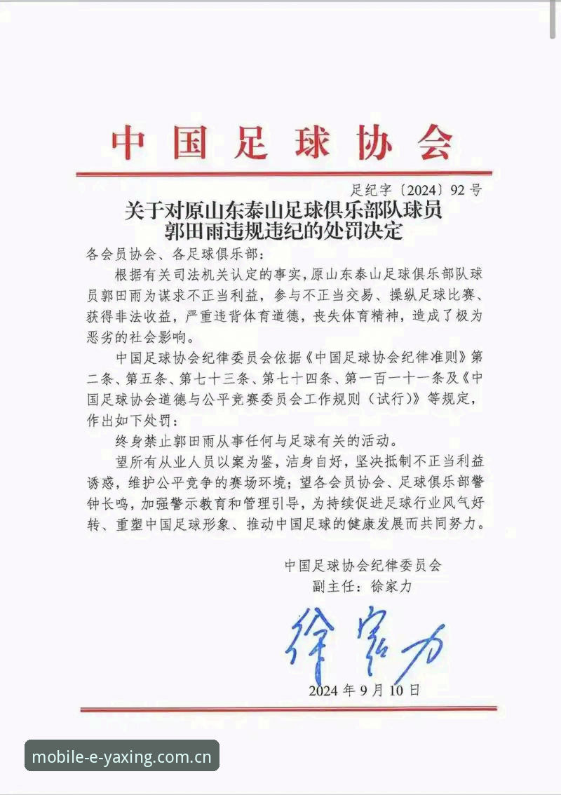 中国足协第三批禁足名单详解：65人受罚，多名俱乐部高管终身禁赛